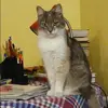 Отзыв от Полина Гуляева